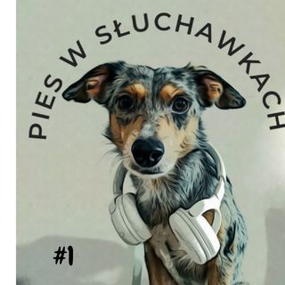 #1 O czym musisz wiedzieć zanim zaczniesz pracować ze swoim psem?