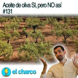 Aceite de oliva SI, pero NO así #131