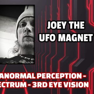 Activated Paranormal Perception - Beyond the Spectrum - 3rd Eye Vision | Joey the UFO Magnet