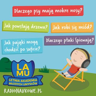 Jak pająki chodzą po suficie? Czemu psy mają mokre nosy? Dlaczego ptaki śpiewają? #07 LAMU'22