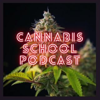 CBD - Cannabis 101