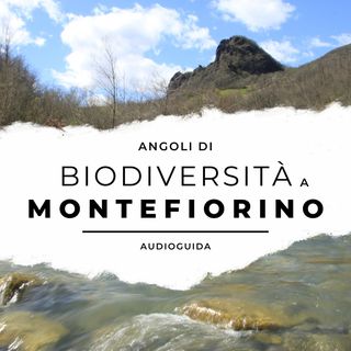 Angoli di biodiversità a Montefiorino