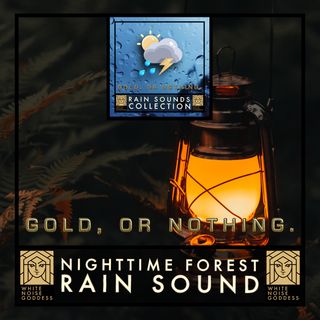 Nighttime Forest Rain Sound | 1 Hour Rain Ambience | Relax | Meditate | Sleep Instantly