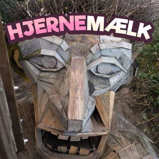 Rejsemælk - 2 - Safarispark med Himalaya-salt