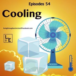 54 Keeping Things Cool
