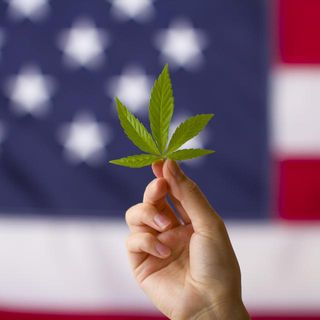 Cannabis in USA 15 miliardi di tasse in 9 anni