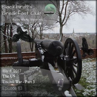 The US Uncivil War Part 3 - Blackbird9
