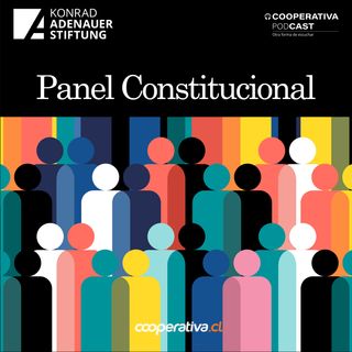 Panel Constitucional