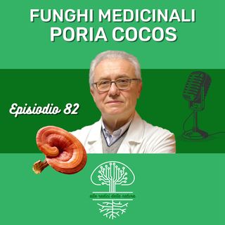 Funghi Medicinali: PORIA COCOS