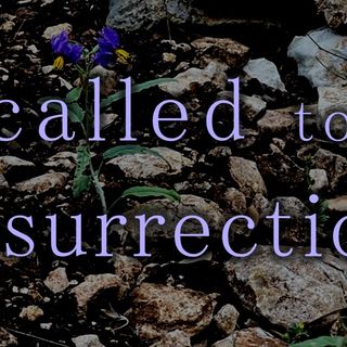 Rev. Jessica Petersen | Called to Resurrection Life