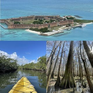 Debbie Stone Explore Congaree, Biscayne, and Dry Tortugas National Parks