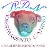 ADN adiestramiento Canino