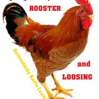 Fighting with my Rooster and Loosing