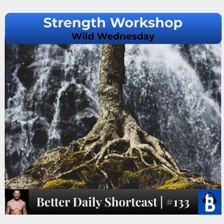 133 - Strength Workshop