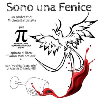 "L'aiuto" - Sono una fenice episodio 5