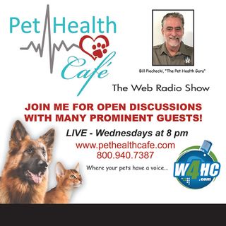 Where Do Health Challenging Toxins Come From In Our Pets