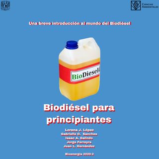 Introducción al mundo del biodiésel