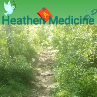 Heathen Medicine Episode#1