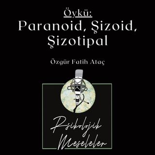 Paranoid ile Şizoid'in Öyküsü | A Kümesi | B41