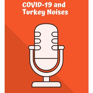 COVID-19 and Turkey Noises