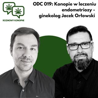 019: Konopie w leczeniu endometriozy - ginekolog Jacek Orłowski