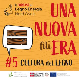 5 - Cultura del legno