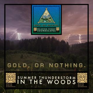 Summer Woods Thunderstorm | 1 Hour Forest Ambience | White Noise | Relax | Meditate | Sleep Instantly