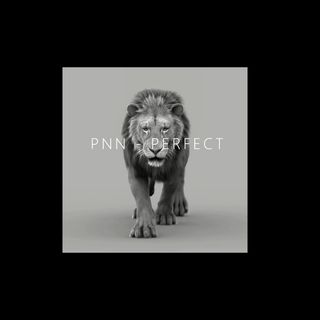 PNN - Perfect (Produced By Kato On The Track)