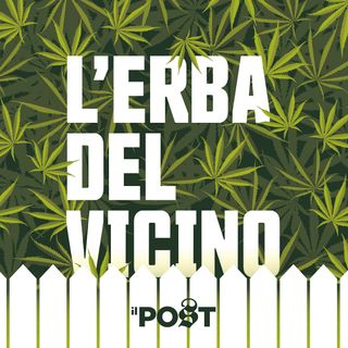 L'erba del vicino