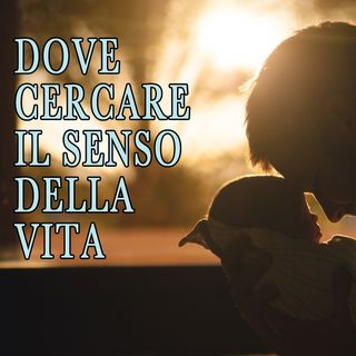 Dove cercare il senso della vita