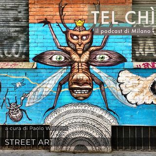Puntata 7: muri e colori, la street art a Milano