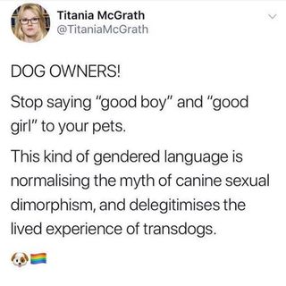 Gay dogs