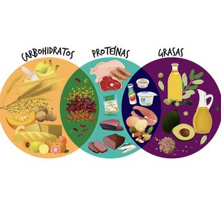 Capítulo 1. Clasificación de nutrimentos