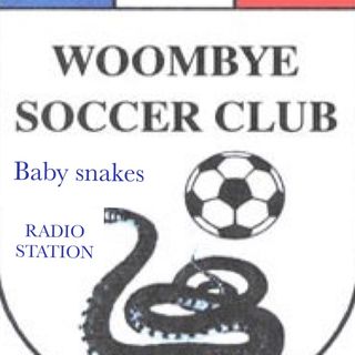 Woombye Fc Baby Snakes