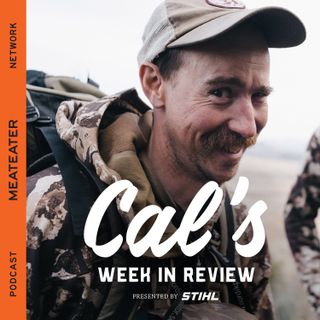 Cal's Week in Review