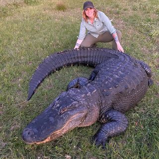 Episode 2: Reptiles