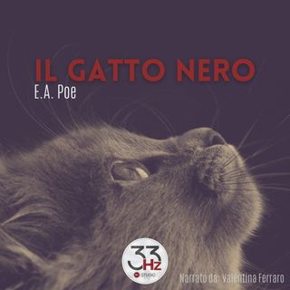 Il Gatto Nero - Audiolibro Cinematografico - 33Hz Studio