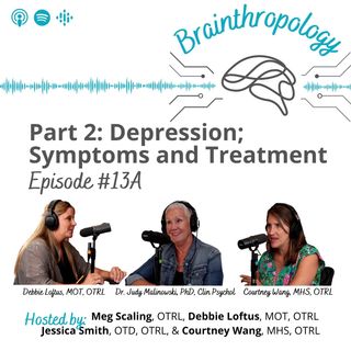 13A: Depression; Symptoms and Treatment