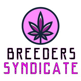 Breeders Syndicate 2.0 - Skunk, Flo, Afghan T, Breeding Terminology, HLV Recap S05 E05
