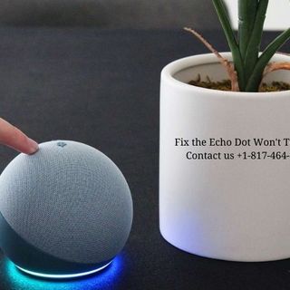 Fix the Echo Dot Won't Turn On - Echo Helpline