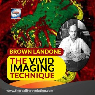 Brown Landone The Vivid Imaging Technique