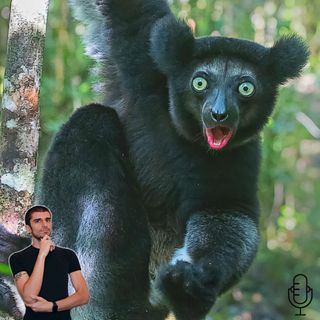 Un lemure cantante, l'indri! - Etologia & Conservazione (w/ Prof. Marco Gamba) S.2