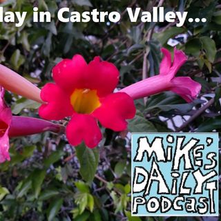 MikesDailyPodcast 2432 Camp