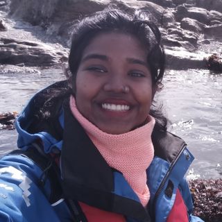 The story behind a Trini PhD Student and Irish Sea Moss