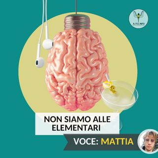 Non siamo alle elementari