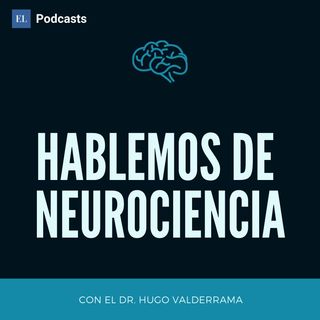 Hablemos de Neurociencia