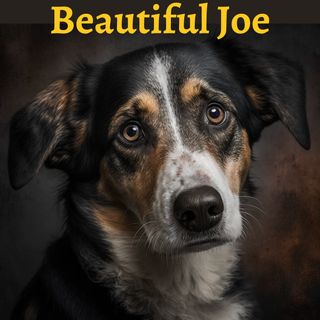 Beautiful Joe