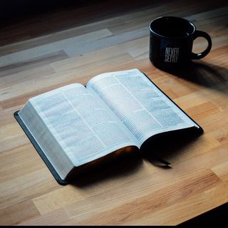 Daily Bible Reader