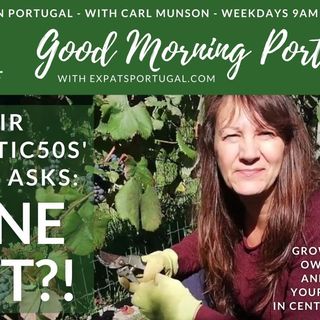 Growing your own grapes & making your own wine in central Portugal with Clair Bendle
