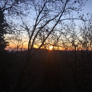 20 marzo 2023 PATERNITà Vangelo del giorno